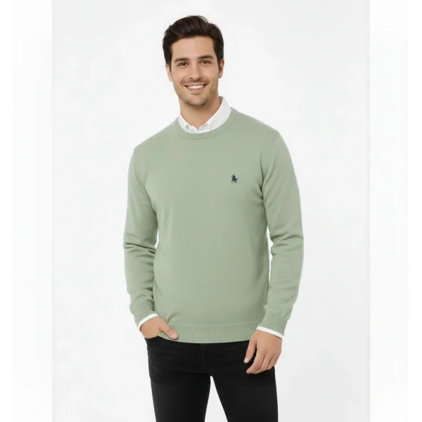 Erkek Bisiklet Yaka Nakış işlemeli Triko Kazak yumuşak dokulu Pamuklu ince Dokuma, uzun kollu Rahat Regular kalıp - Mint Yeşili