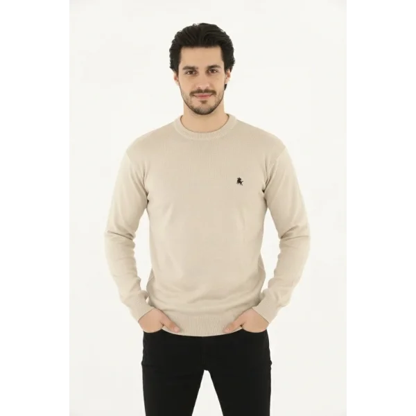 Erkek Bisiklet Yaka Nakış işlemeli Triko Kazak yumuşak dokulu Pamuklu ince Dokuma, uzun kollu Rahat Regular kalıp - Bej