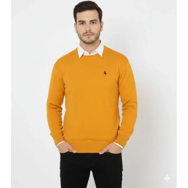 Erkek Bisiklet Yaka Nakış işlemeli Triko Kazak yumuşak dokulu Pamuklu ince Dokuma, uzun kollu Rahat Regular kalıp - Turuncu