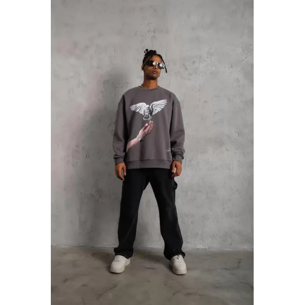 Erkek Güvercin Baskılı Sweatshirt - Gri