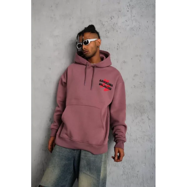 Erkek Şapkalı Güvercin Baskılı Kapşonlu Sweat - Gül Kurusu