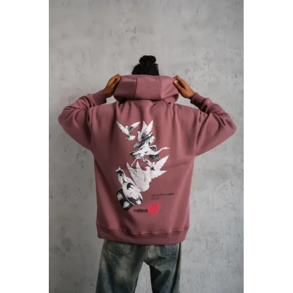 Erkek Şapkalı Güvercin Baskılı Kapşonlu Sweat - Gül Kurusu