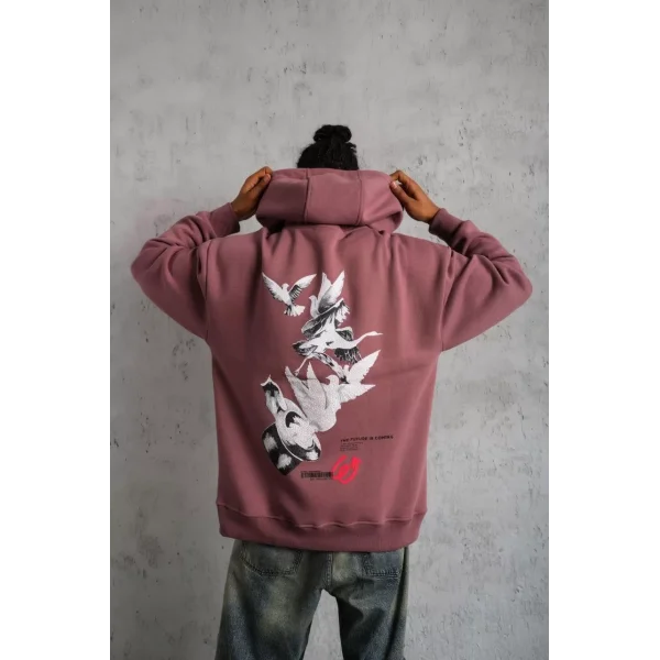 Erkek Şapkalı Güvercin Baskılı Kapşonlu Sweat - Gül Kurusu