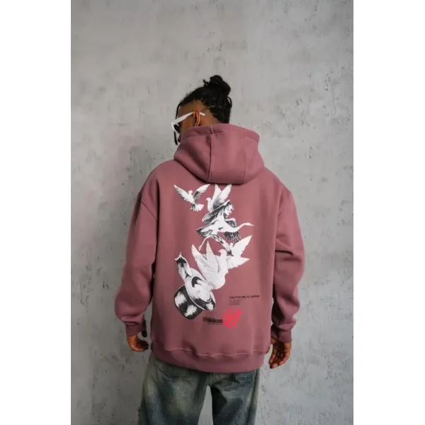 Erkek Şapkalı Güvercin Baskılı Kapşonlu Sweat - Gül Kurusu