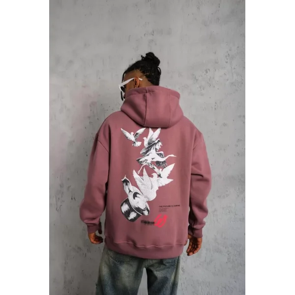 Erkek Şapkalı Güvercin Baskılı Kapşonlu Sweat - Gül Kurusu