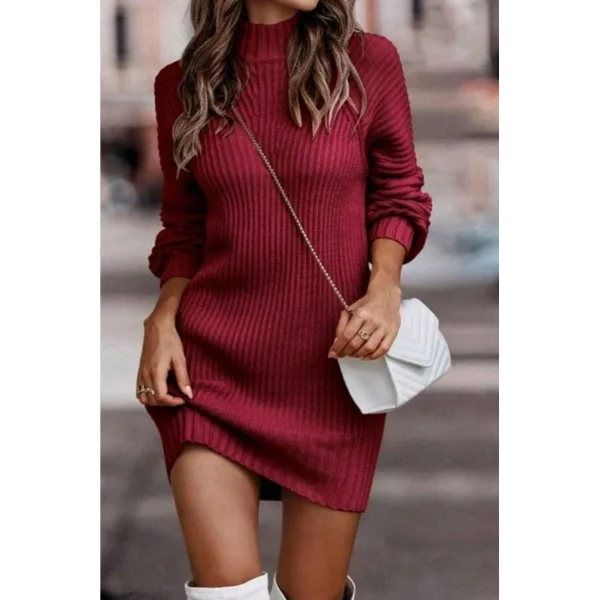 Kadın Uzun Kollu Balıkçı Yaka Mini Triko Elbise