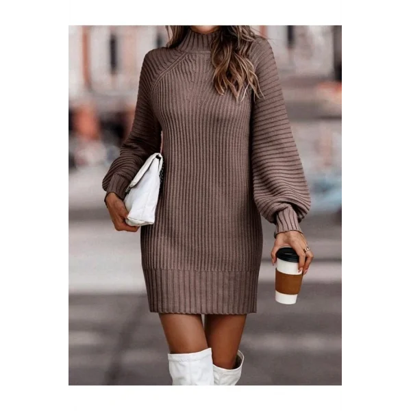 Kadın Uzun Kollu Balıkçı Yaka Mini Triko Elbise