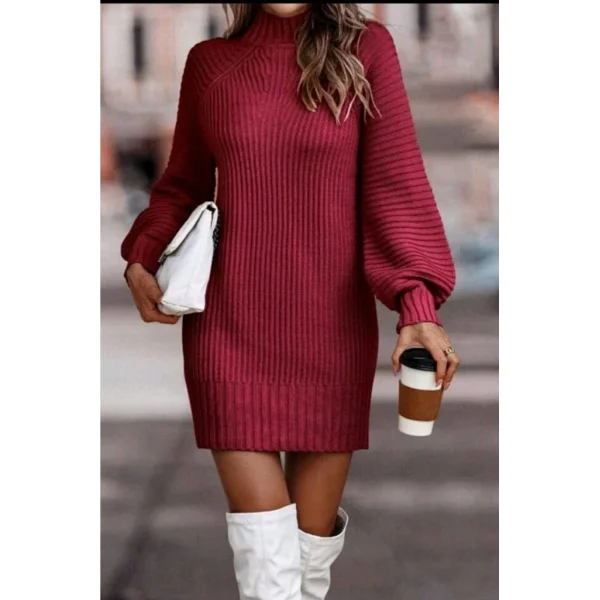 Kadın Uzun Kollu Balıkçı Yaka Mini Triko Elbise