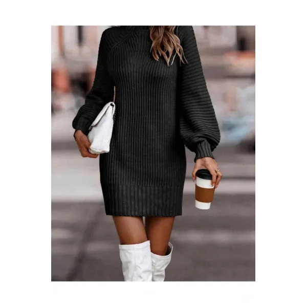 Kadın Uzun Kollu Balıkçı Yaka Mini Triko Elbise