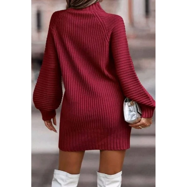 Kadın Uzun Kollu Balıkçı Yaka Mini Triko Elbise