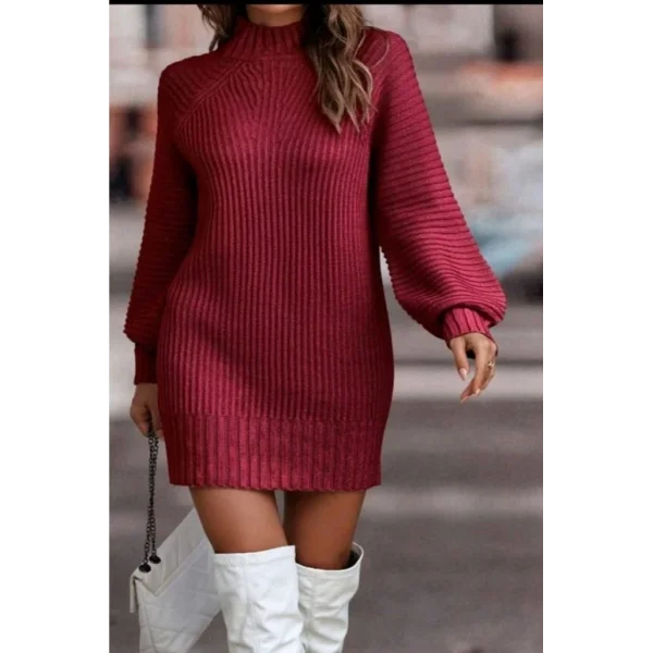 Kadın Uzun Kollu Balıkçı Yaka Mini Triko Elbise