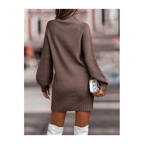 Kadın Uzun Kollu Balıkçı Yaka Mini Triko Elbise