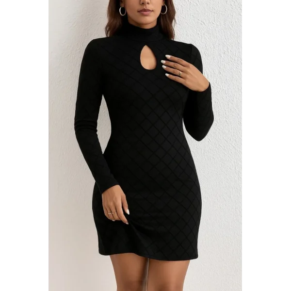 Kadın Uzun Kollu Damla Detay Flok Baskı Dalgıç Mini Elbise