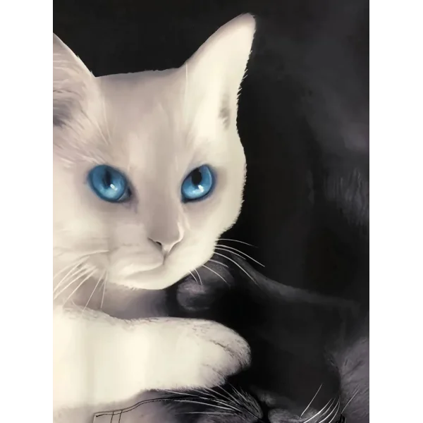 Kadın Uzun Kollu Kapşonlu Bağcıklı Kedi Desenli şardonlu Dalgıç Bluz