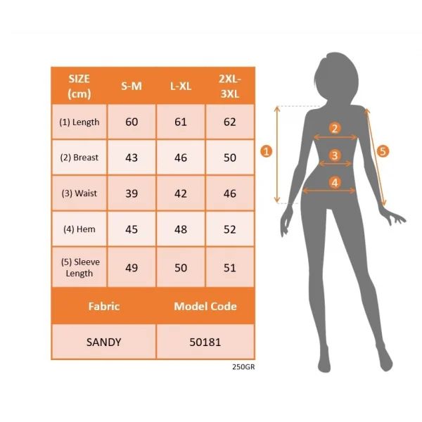 Kadın Uzun Kollu Omuz Dekolte Ve Taş Detaylı Degaje Tüllü Yaka Sandy Bluz