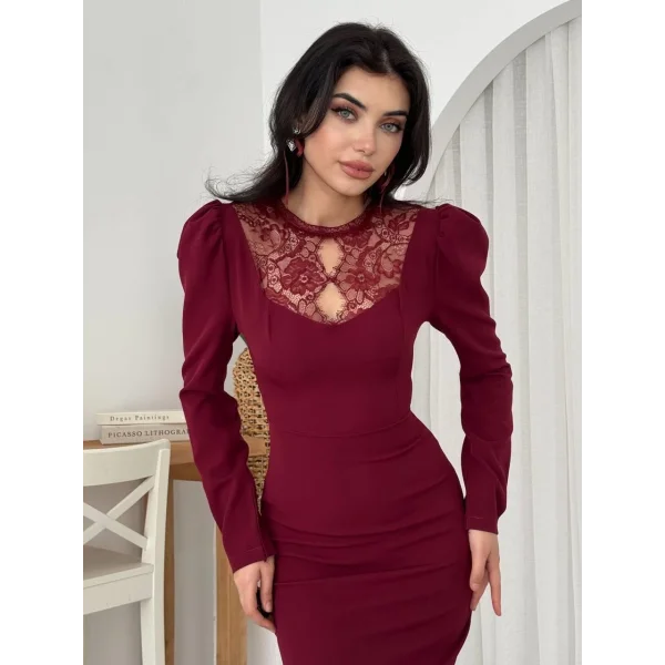 Port Dantel Detay Elbise