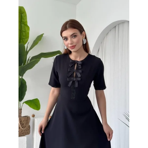 Wera Taşlı Fiyonk Detaylı Elbise