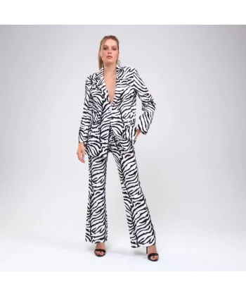 Di̇ji̇tal Baski Zebra Desenli̇ Ceket