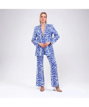 Di̇ji̇tal Baski Zebra Desenli̇ Ceket