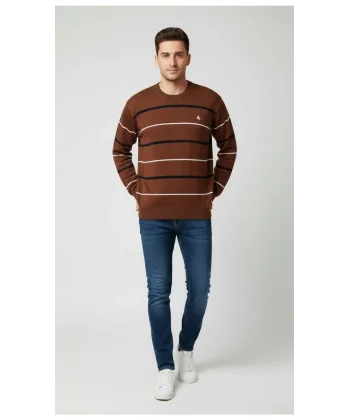 Erkek Bisiklet Yaka Cizgili Triko Kazak yumuşak dokulu Pamuklu ince Dokuma, uzun kollu Rahat Regular kalıp - Kahverengi