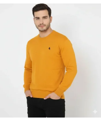 Erkek Bisiklet Yaka Nakış işlemeli Triko Kazak yumuşak dokulu Pamuklu ince Dokuma, uzun kollu Rahat Regular kalıp - Turuncu