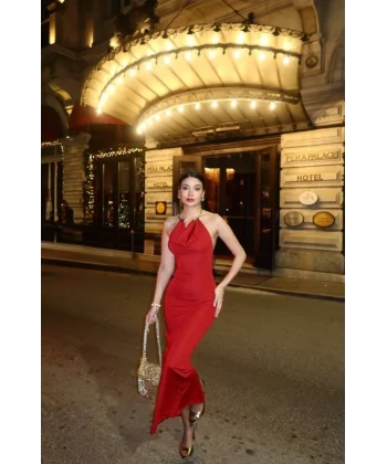 Kadın Aksesuarlı Halter Yaka Sırt Dekolte Detay Maxi Boy Elbise