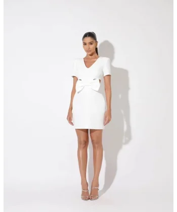 Kadın Polyester Kumaş Fiyonk Detaylı V Yaka ini Boy Elbise