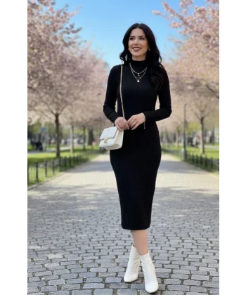 Kadın Uzun Kollu Balıkçı Yaka Triko Elbise