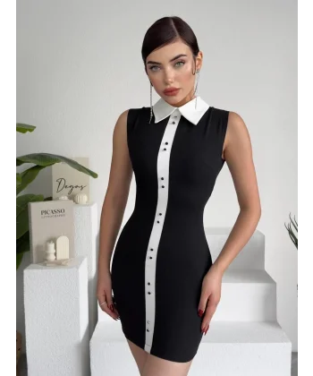 Karina Yaka Detay Elbise