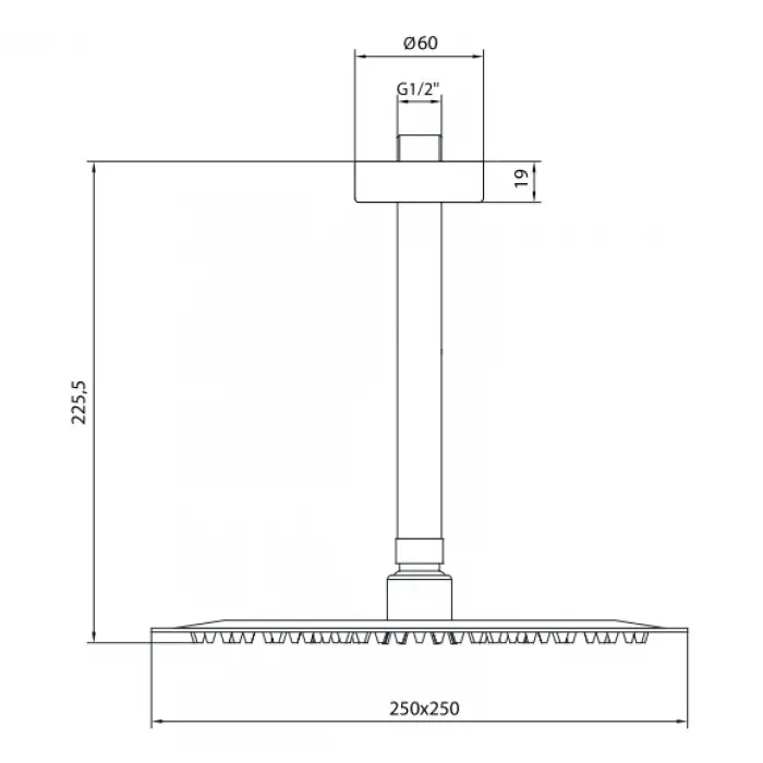 AR Efes Duş Başlığı - Tavandan (102145087)