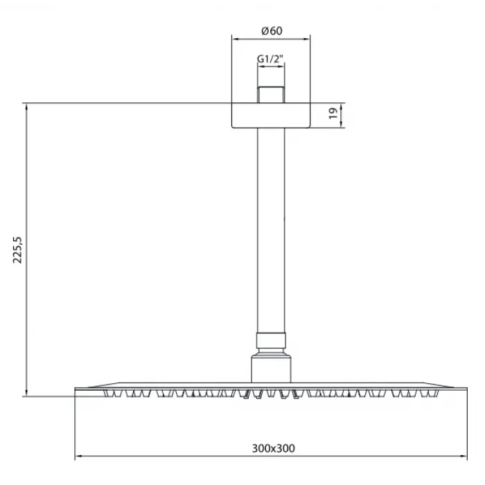 AR Efes Plus Duş Başlığı - Tavandan - 225,5 mm (102145091)