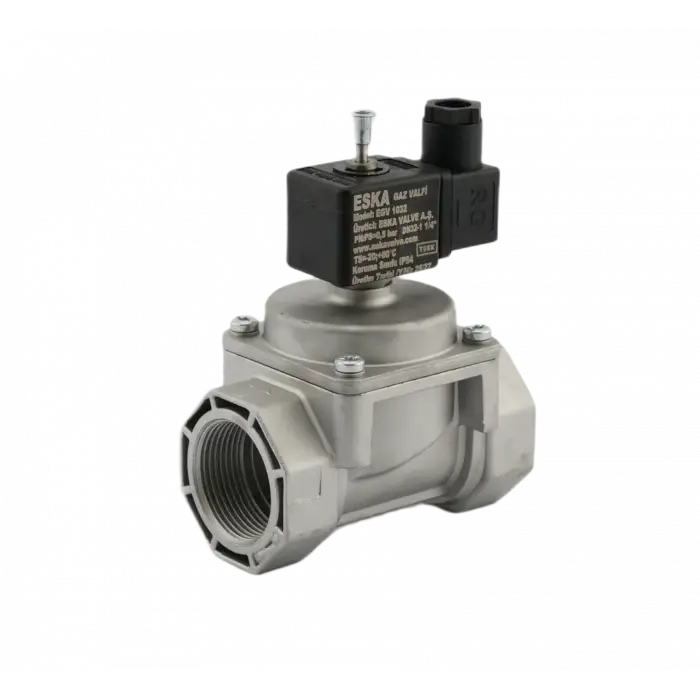 Eska EGV 1025 Selonoid Vana (12 Volt) - 1