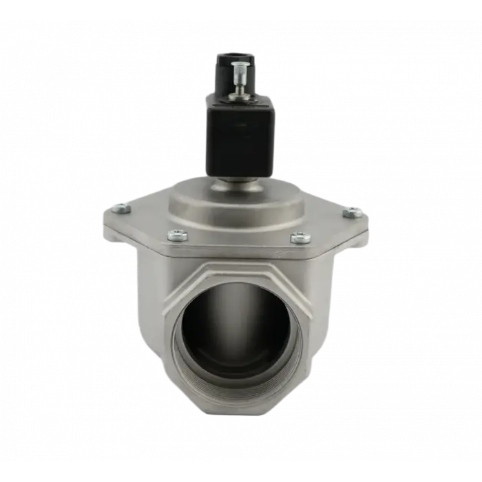 Eska EGV 1025 Selonoid Vana (12 Volt) - 1