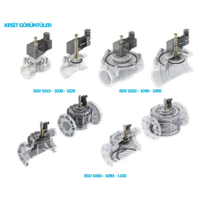 Eska EGV 1065 Selonoid Vana (12 Volt) - DN 065