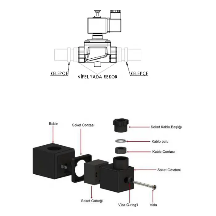 Eska EGV 1100 Selonoid Vana (12 Volt) - DN 100