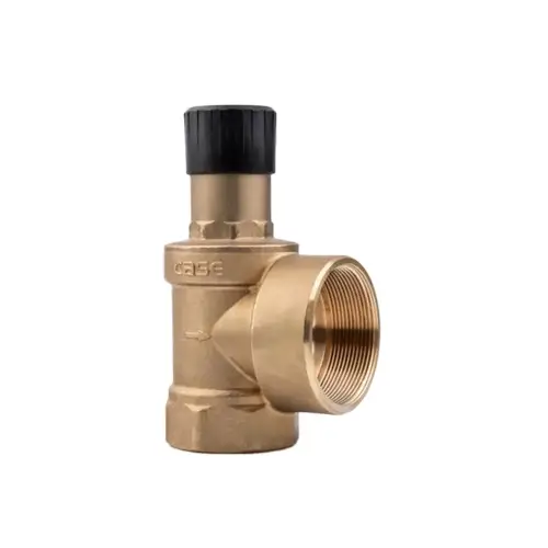 Case Emniyet Ventili - 7.0 Bar (İç Dişli) - 2 x 21/2