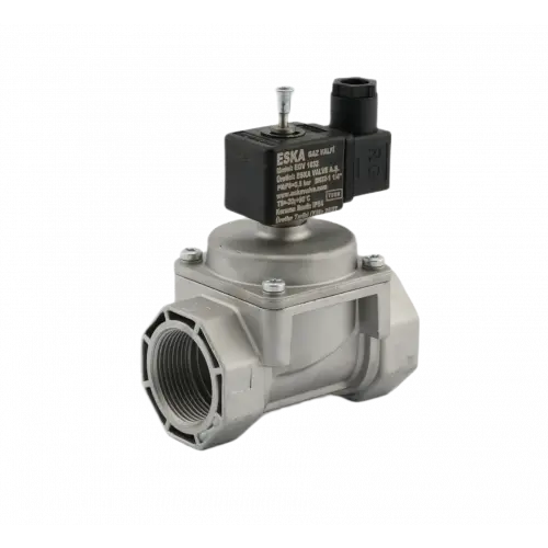 Eska EGV 1020 Selonoid Vana (12 Volt) - 3/4