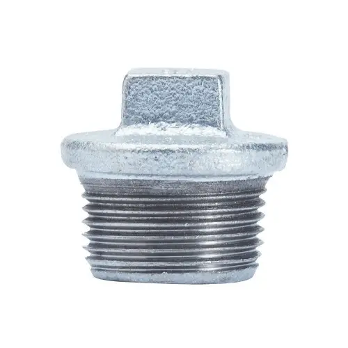 Ekpaş Galvaniz Dişli Kör Tapa (Dış Vidalı) - 2 1/2