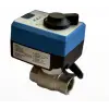 ECA 2 Yollu Motorlu Vana (Kumandalı) - 1