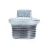 Ekpaş Galvaniz Dişli Kör Tapa (Dış Vidalı) - 2 1/2