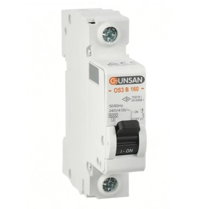 GÜNSAN 1X C32 6000 KA