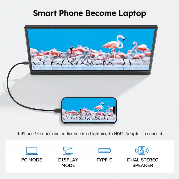 LineOn 15.6 Full HD 1080p IPS Portable Taşınabilir Monitör