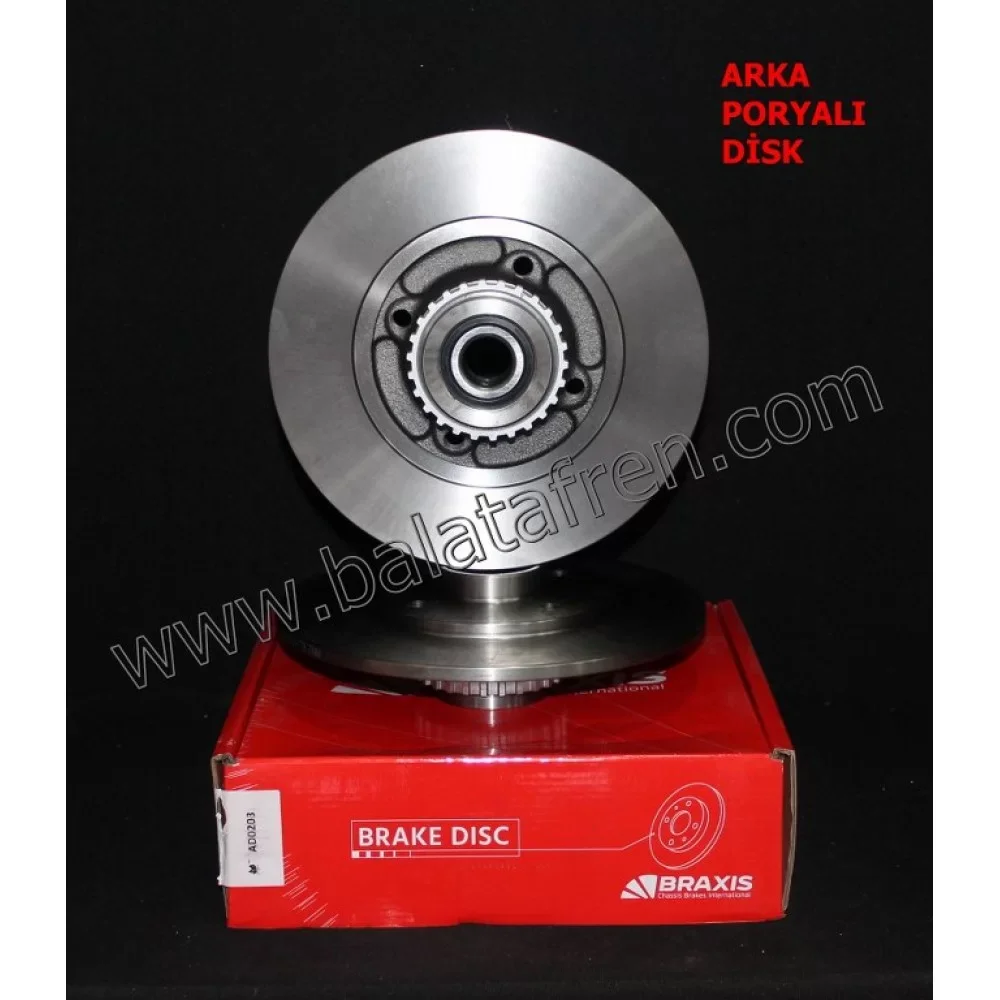 Renault Clio Arka Fren Diski Poryalı Braxis