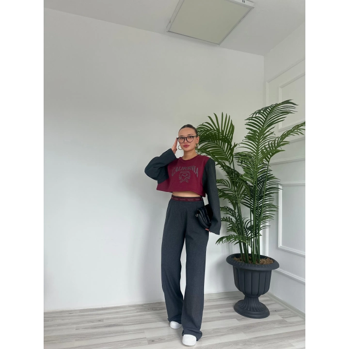 Kadın Vatkalı Crop Sweatshirt Bordo