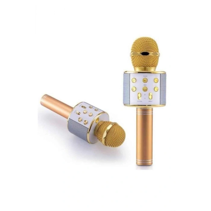 Karaoke Mikrofon Dahili Hoparlörlü Sd-usb-aux Girişli Bluetooth Hoparlör