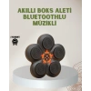 Bluetoothlu Akıllı Boks Antrenman Cihazı Işıklı Hedefli Kardiyo Ve Fitness Aleti