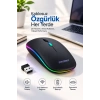 Pg9009 Mouse
