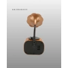 Retro Tasarımlı Mini Bluetooth Hoparlör Ve Fm Radyo Çoklu Medya Yeni Nesil