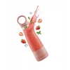 Usb Şarjlı Taşınabilir Smoothie Ve Meyve Blender