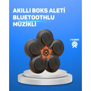 Müzikli Boks Duvar Paneli Akıllı Işık Sistemli Refleks Ve Kondisyon Aleti